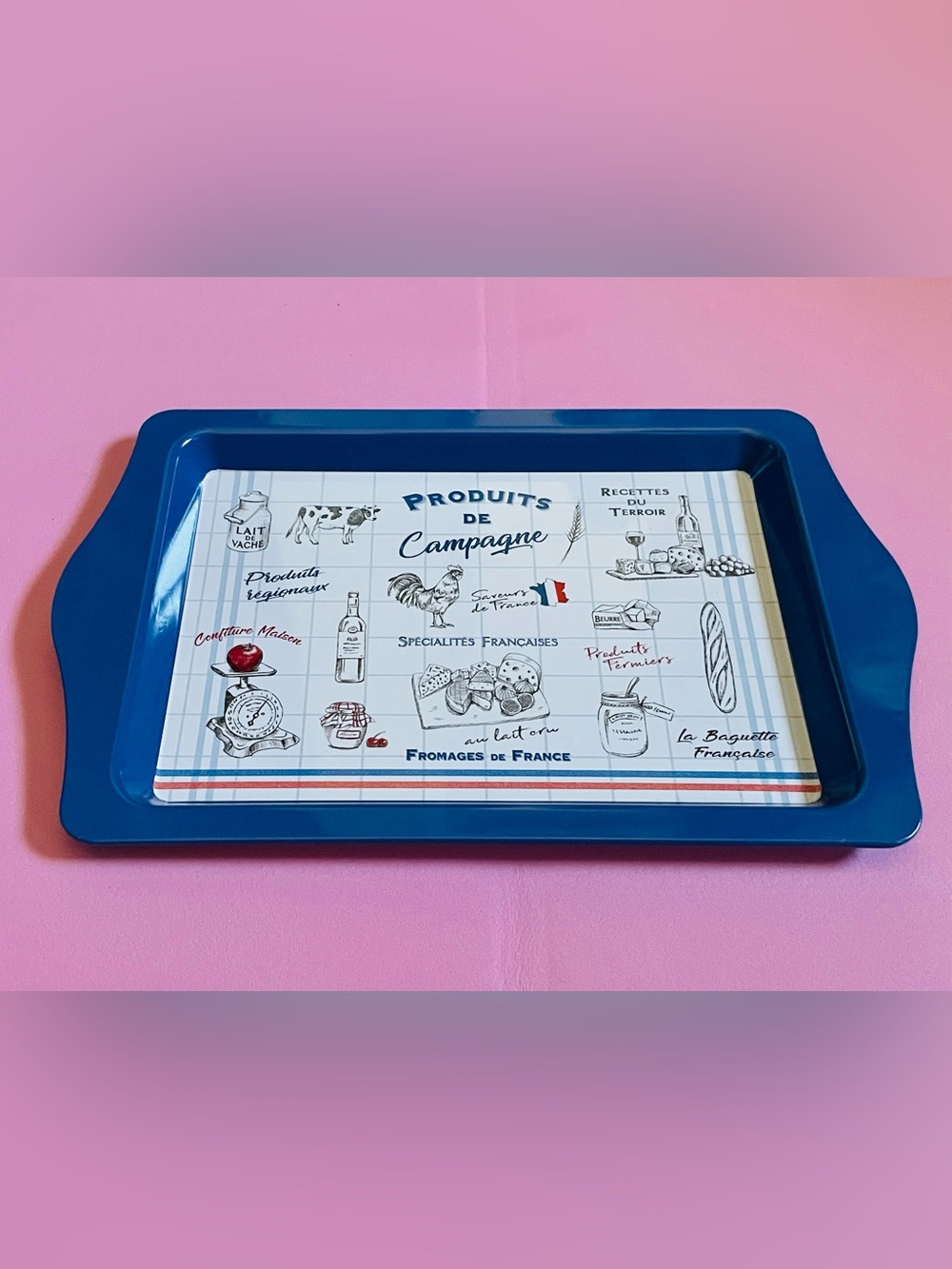 NEW Blue French Country Melamine Serving Tray